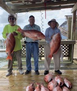 Red Snapper Run 2022 in Dauphin Island